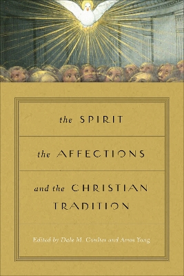 Cover of The Spirit, the Affections, and the Christian Tradition