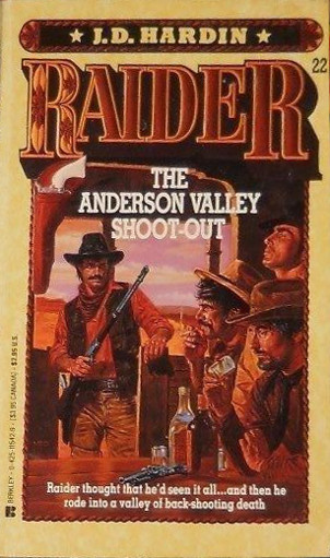 Book cover for Raider/Anderson Valle