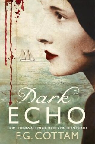Cover of Dark Echo