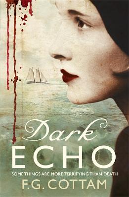Book cover for Dark Echo