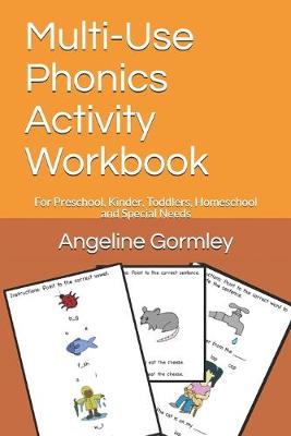 Book cover for Multi-Use Phonics Activity Workbook