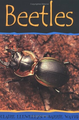 Cover of Beetles-PB