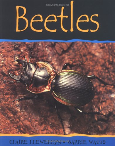 Book cover for Beetles-PB