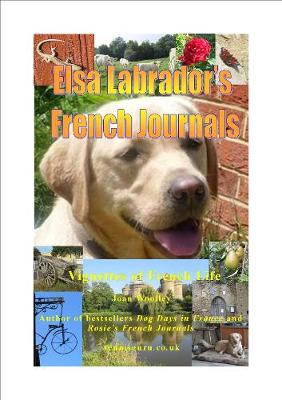 Book cover for Elsa Labrador's French Journals