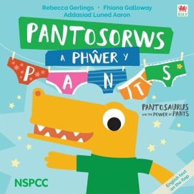 Book cover for Pantosorws a Phŵer y Pants