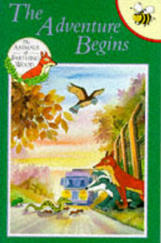 Cover of The Adventure Begins