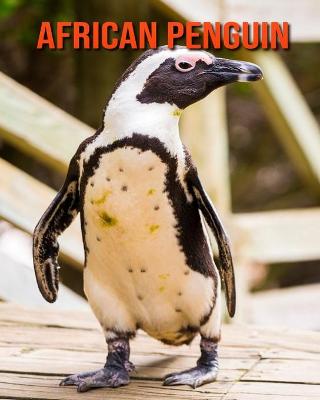 Book cover for African Penguin