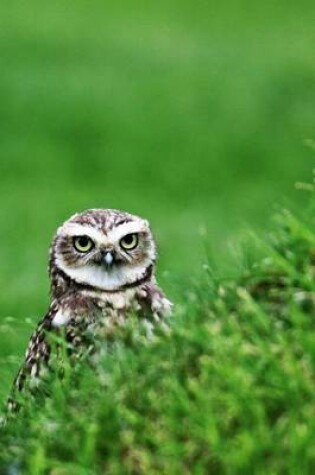 Cover of Burrowing Owl Getting Ready to Do His Thing