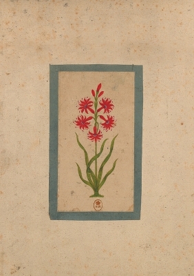 Book cover for Carnet Blanc, Fleur 1, Miniature Indienne 18e Siècle