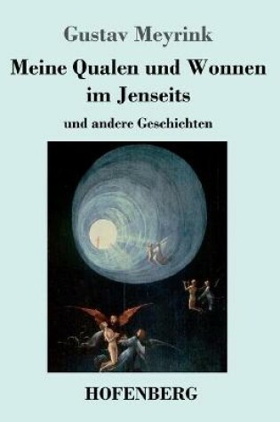 Cover of Meine Qualen und Wonnen im Jenseits