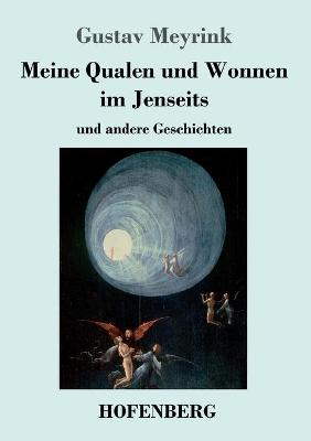 Book cover for Meine Qualen und Wonnen im Jenseits