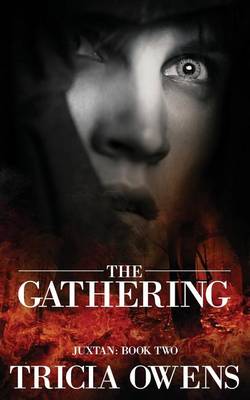 Book cover for The Gathering