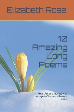 Cover of 10 Amazing Long Poems
