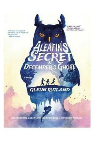 Cover of Aleafin's Secret and December's Ghost