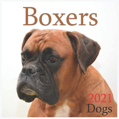 Book cover for Boxers