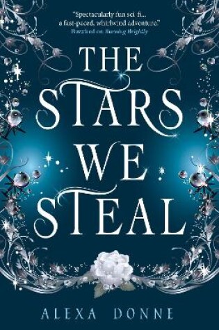 Cover of The Stars We Steal