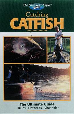 Book cover for Catching Catfish