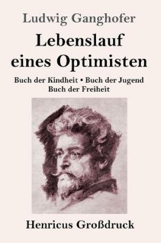 Cover of Lebenslauf eines Optimisten (Großdruck)
