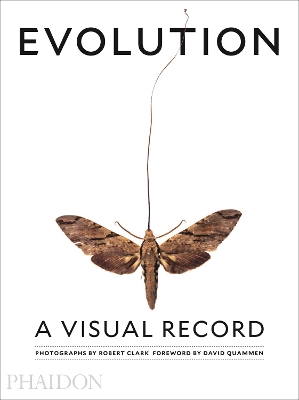 Book cover for Evolution