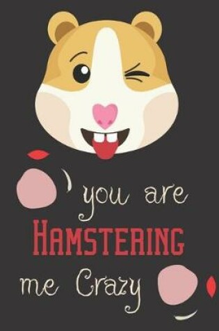 Cover of you are hamstering me crazy