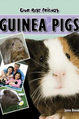 Cover of Guinea Pigs