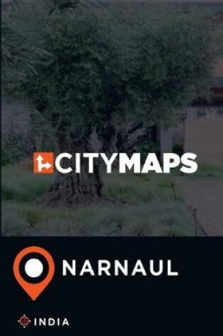 Cover of City Maps Narnaul India