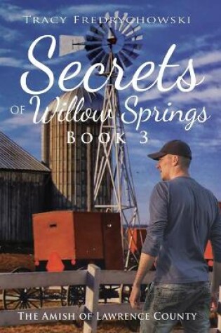 Cover of Secrets of Willow Springs - Book 3