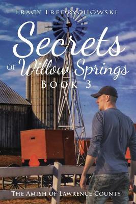 Book cover for Secrets of Willow Springs - Book 3