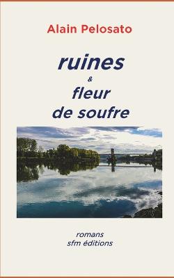 Book cover for ruines & fleur de soufre