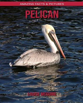 Book cover for Pelican