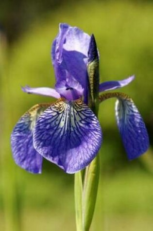 Cover of A Beautiful Purple Iris Flower Journal