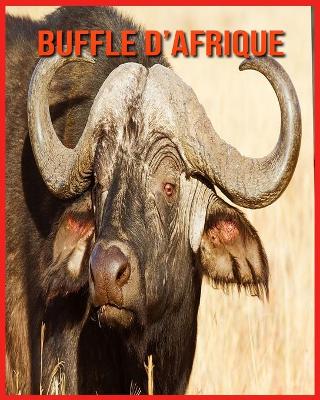 Book cover for Buffle d'Afrique