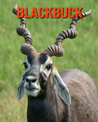 Book cover for Blackbuck