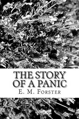 Book cover for The Story of a Panic