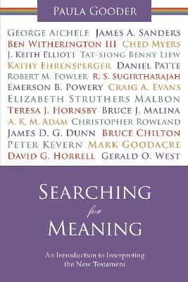 Book cover for Searching for Meaning