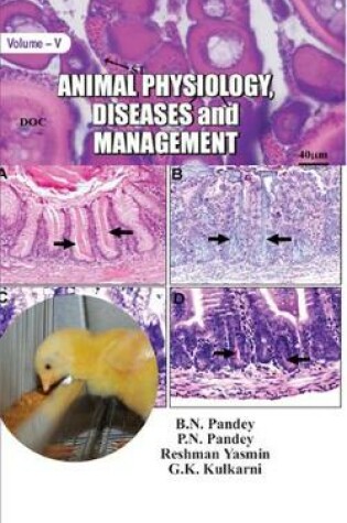 Cover of Animal Physiology, Diseases and Management