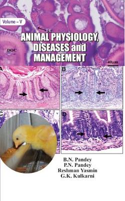 Book cover for Animal Physiology, Diseases and Management