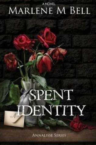 Cover of Spent Identity