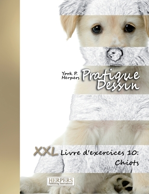 Book cover for Pratique Dessin - XXL Livre d'exercices 10