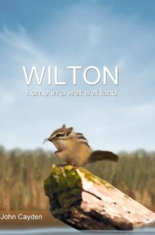 Cover of Wilton Home In a Wet Wet Land