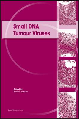 Cover of Small DNA Tumour Viruses