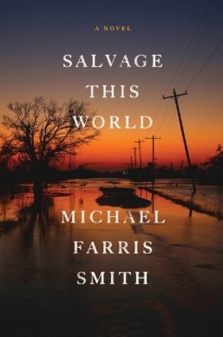 Cover of Salvage This World