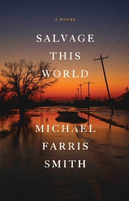 Book cover for Salvage This World