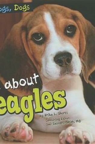 Cover of All about Beagles