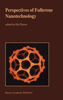 Book cover for Perspectives of Fullerene Nanotechnology
