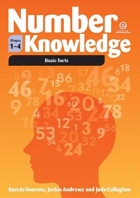 Book cover for Number Knowledge: Basic Facts (Stages 1-3)