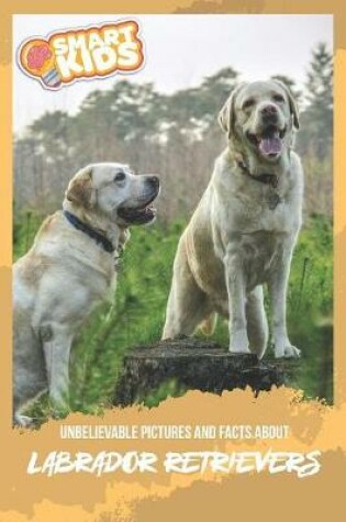 Cover of Unbelievable Pictures and Facts About Labrador Retrievers