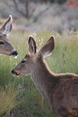 Book cover for Deer Notebook