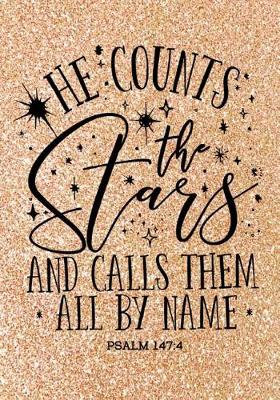 Book cover for He Counts The Stars (Psalm 147