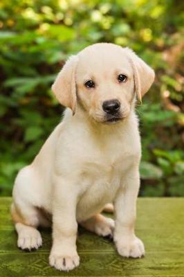 Book cover for The Labrador Retriever Puppy Dog Journal